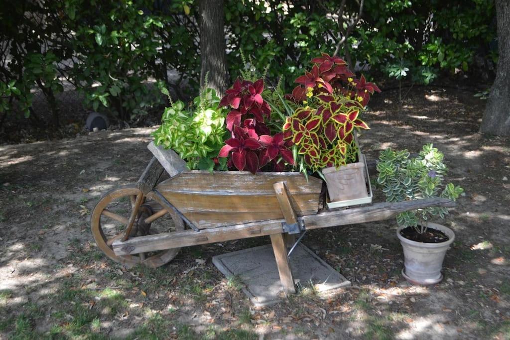 Gîte sous les chênes : pour un séjour ressourçant