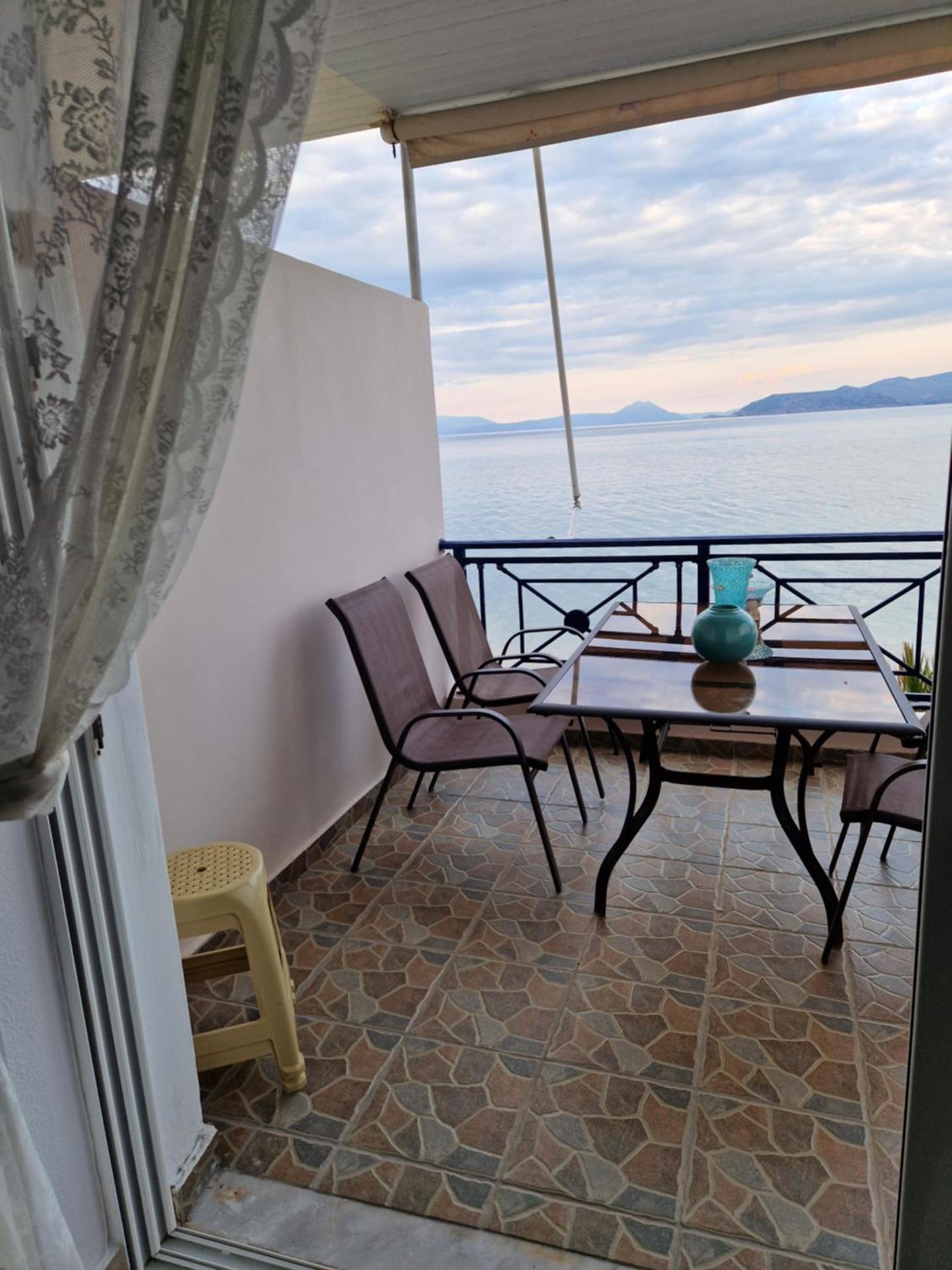 View (from property/room)