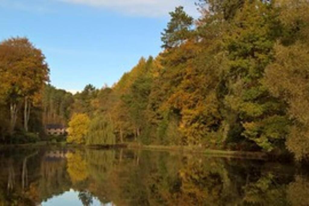 Cosy cottage near Alton Towers