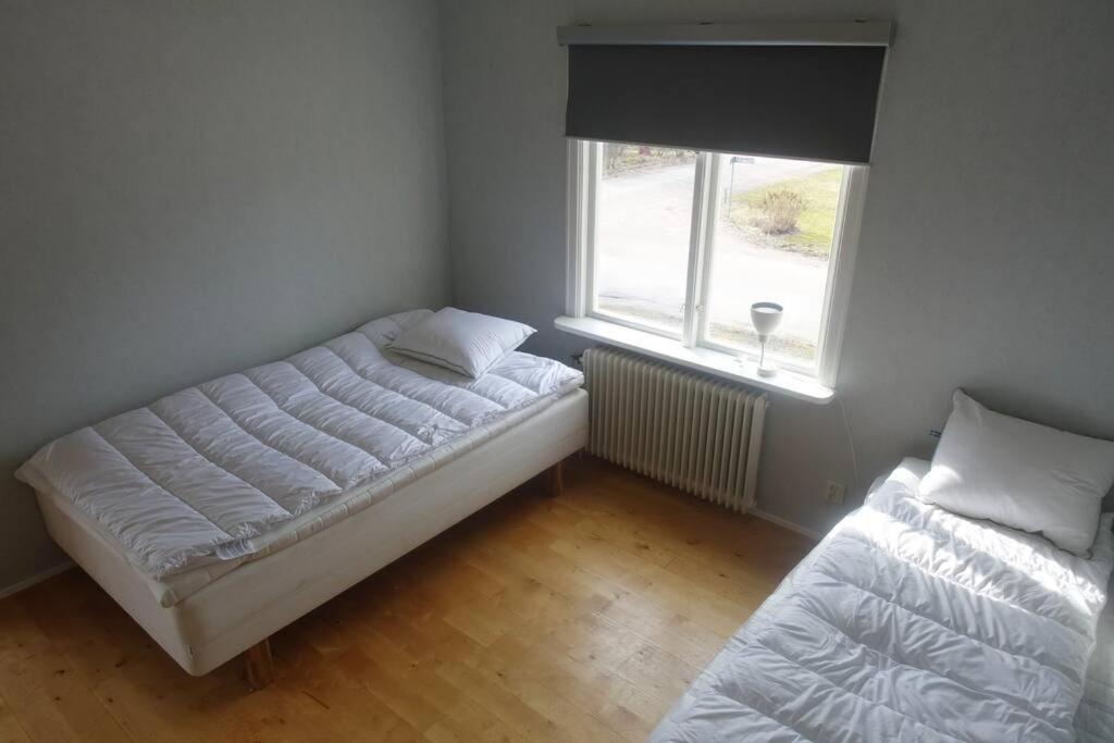 Space to socialize 3km from the peak of Isaberg!