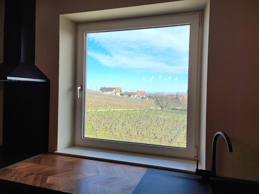 Vue splendide au coeur des vignes