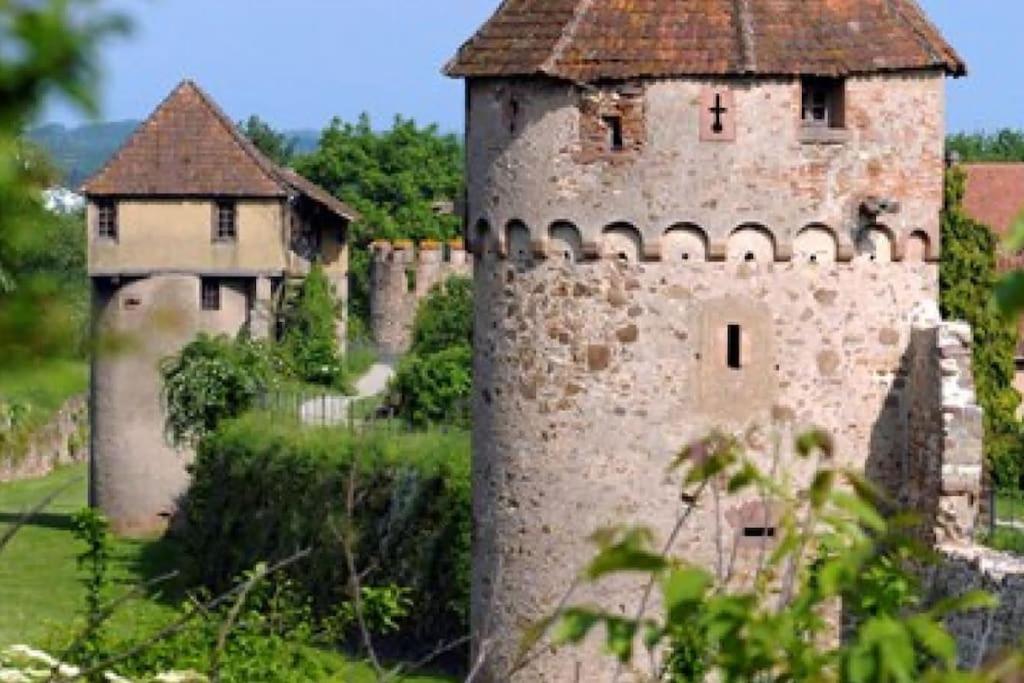 Vue splendide au coeur des vignes