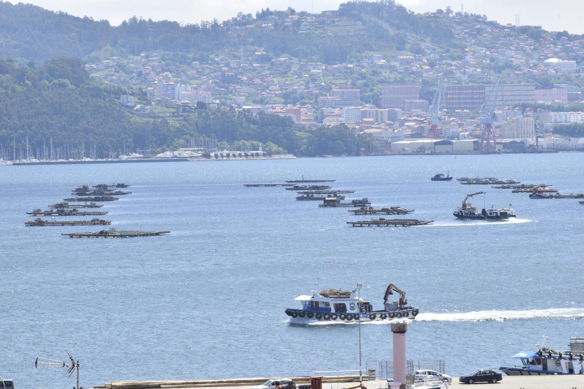 Alojamiento Fragata Lealtad