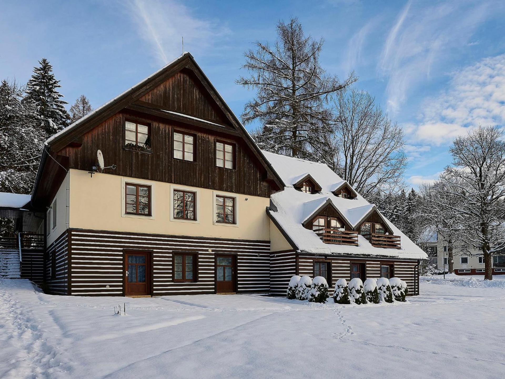 Apartment Harrachov 141 by Interhome