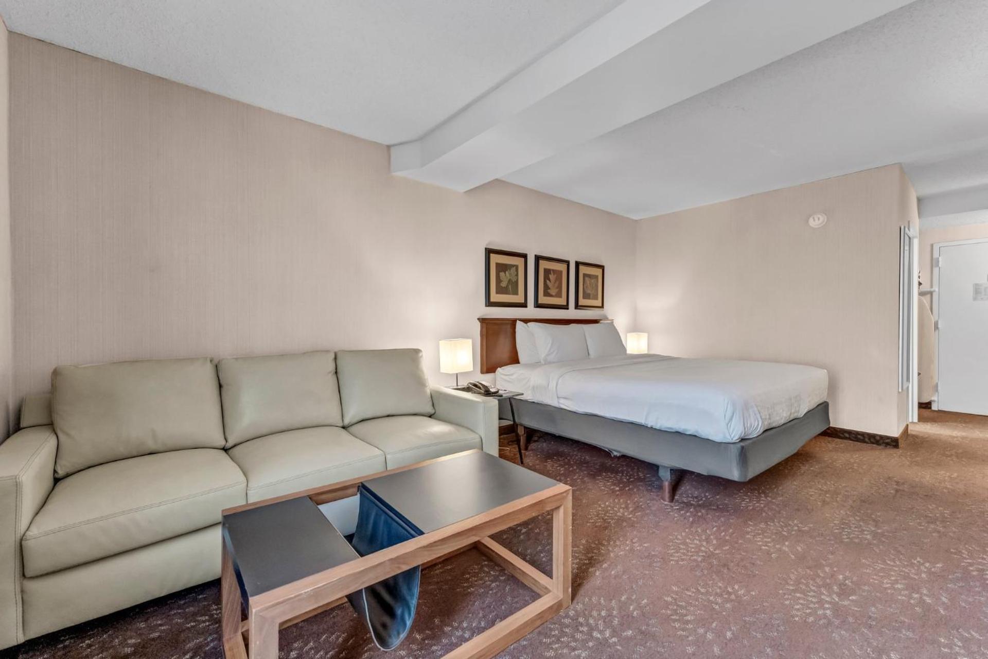 King Room with Sofa Bed