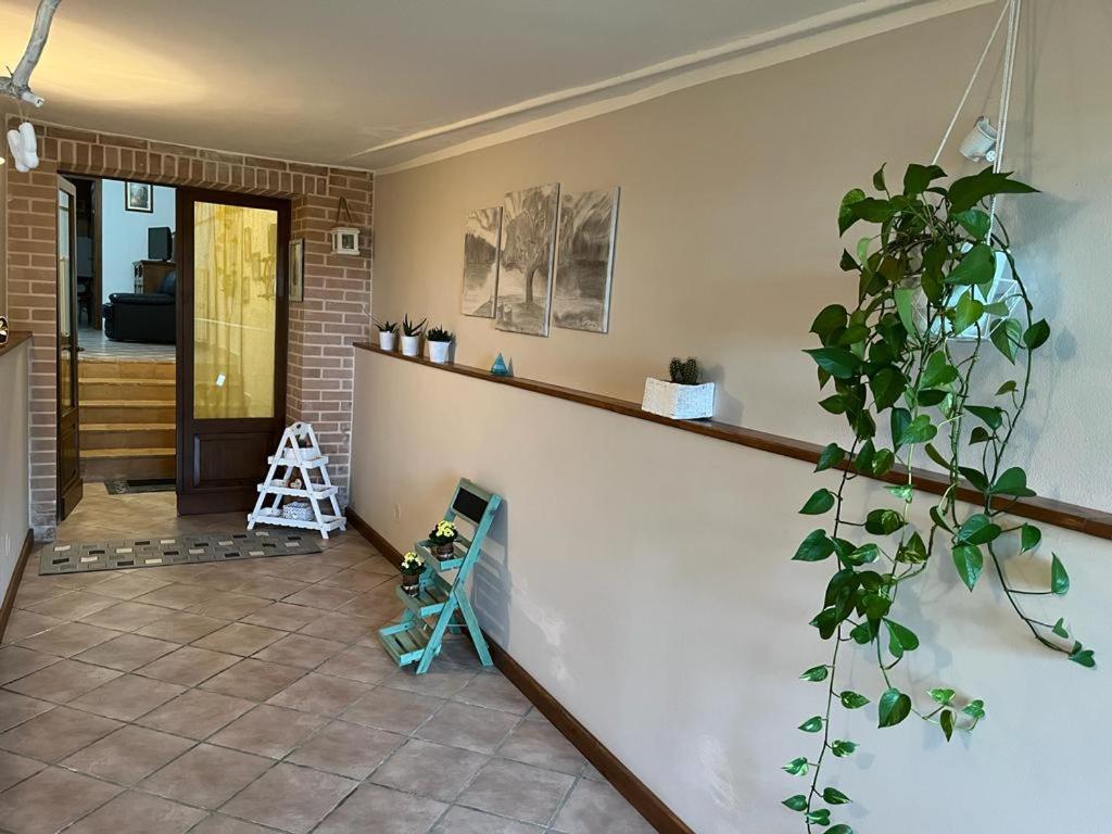 APPARTAMENTI DOLCETURISMO FONTECAIME...RELAX...