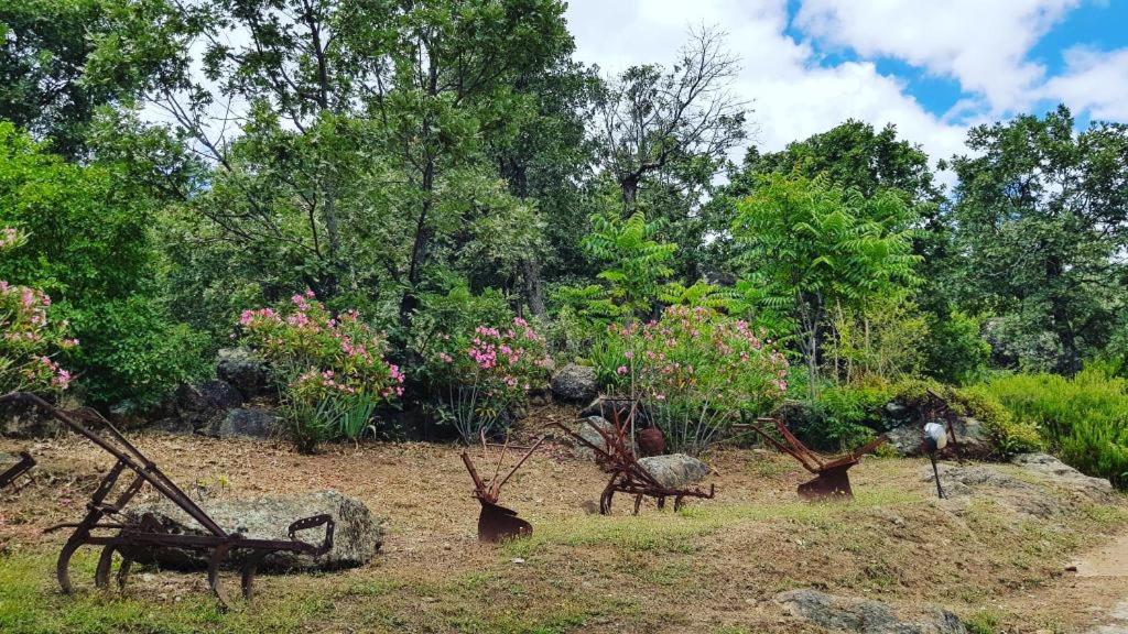 Las Casas de Agapito