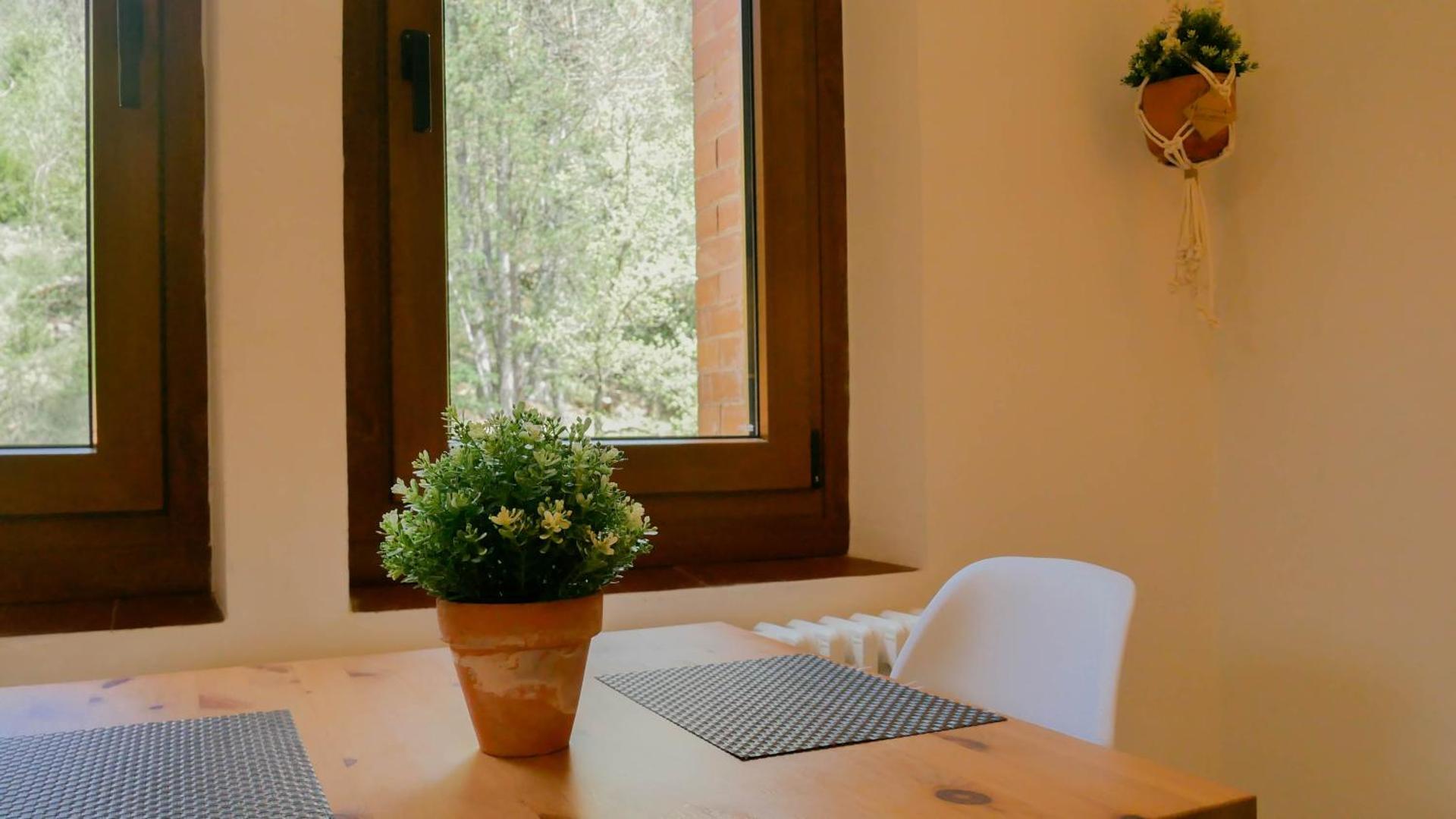 El Petit Estudi - Els Apartaments del Bosc