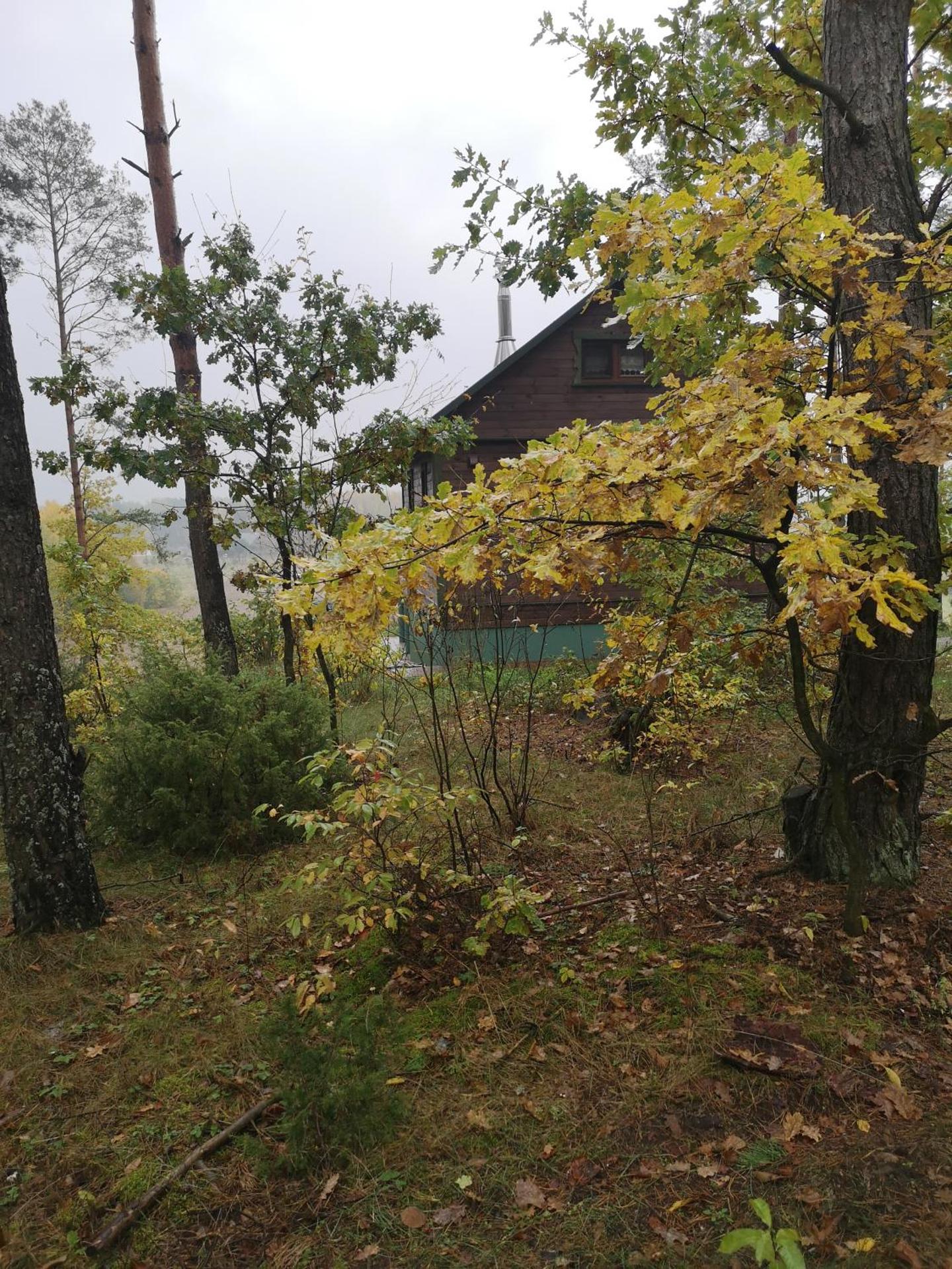 Domek pod lasem podlaskie