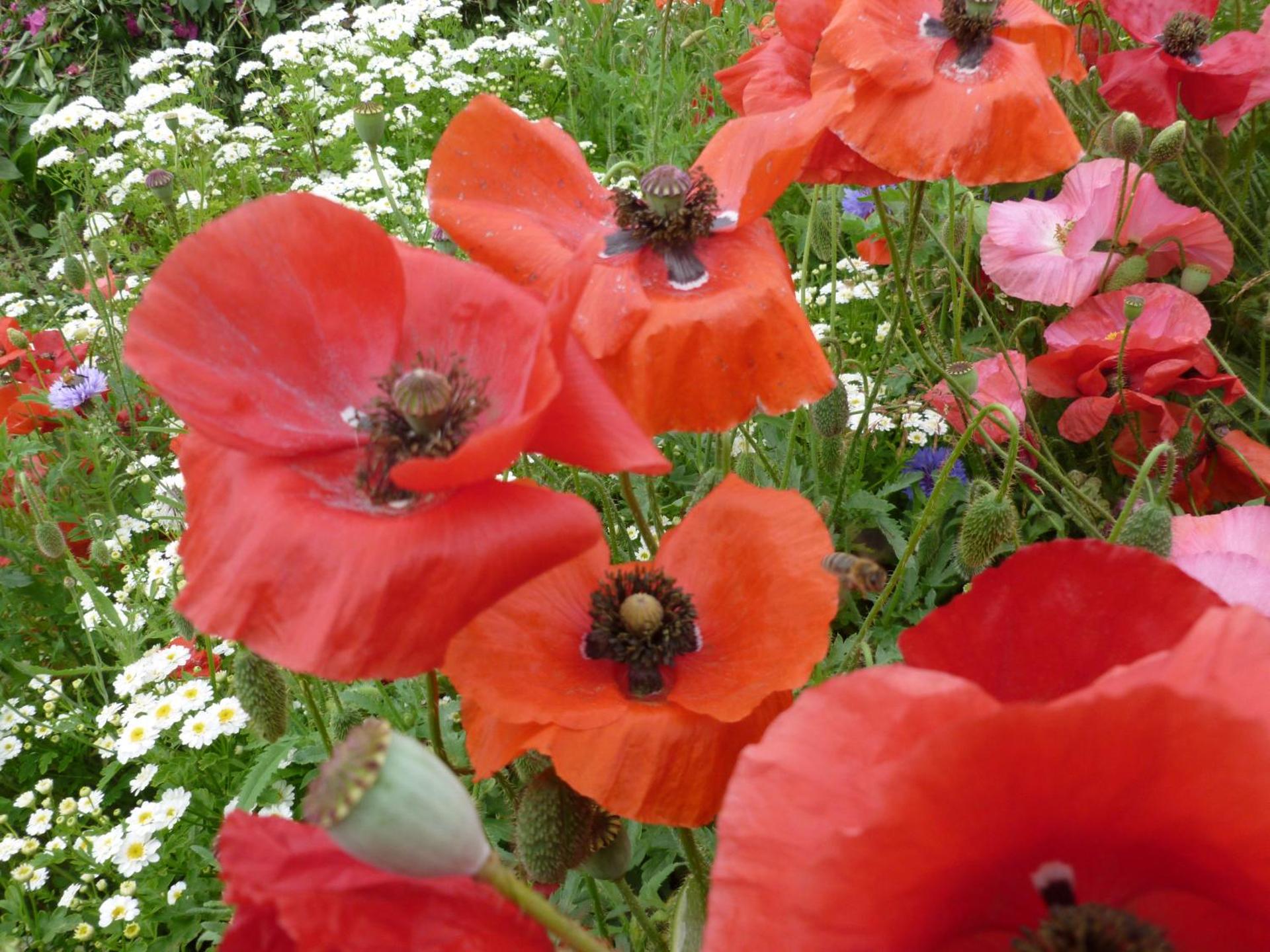 Ostsee Ferienwohnung in Schönberg inklusive 2 Leihfahrräder Self-Check-in