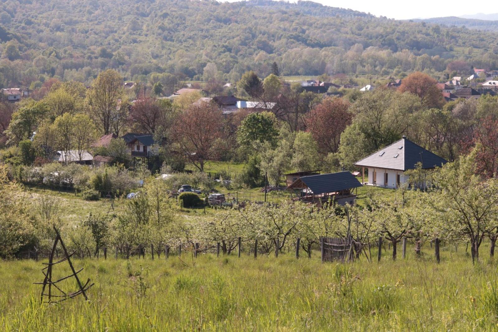 Saint Friday Cottage - Retreat, Garden and Forest