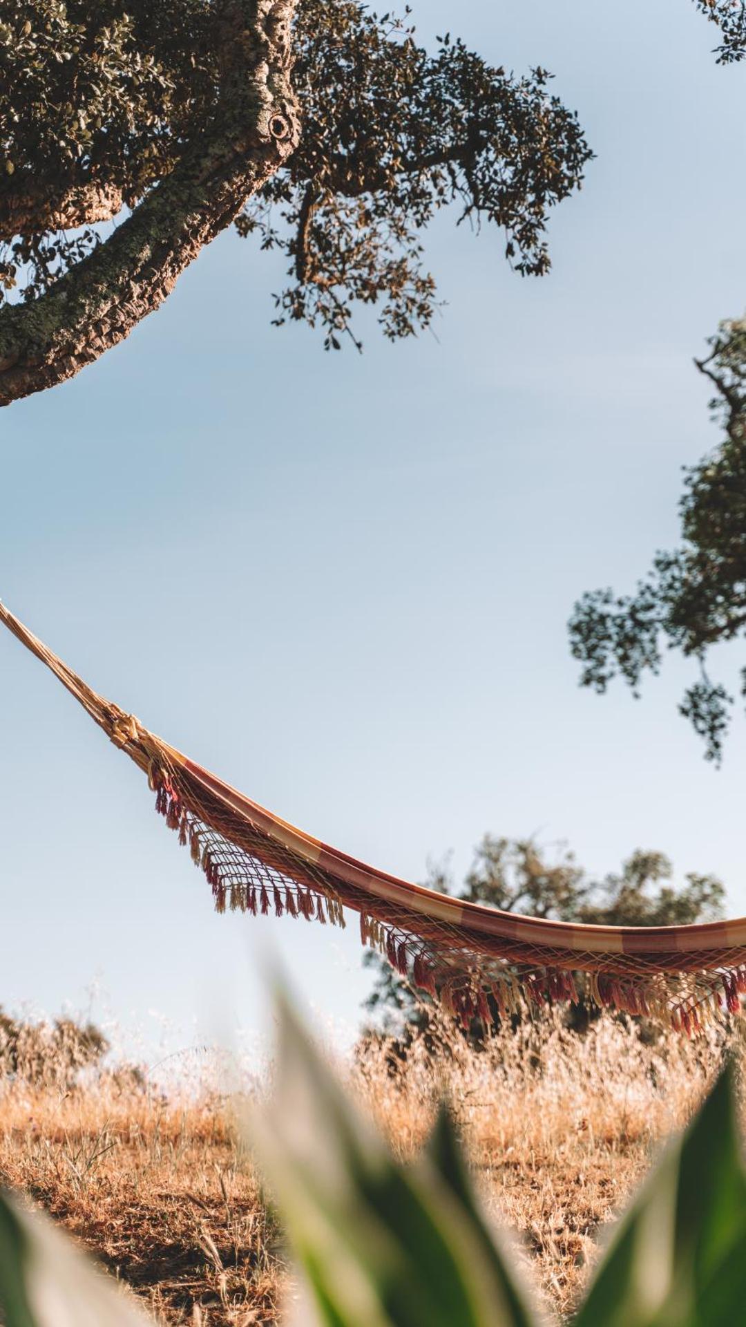 The Blue House Valley