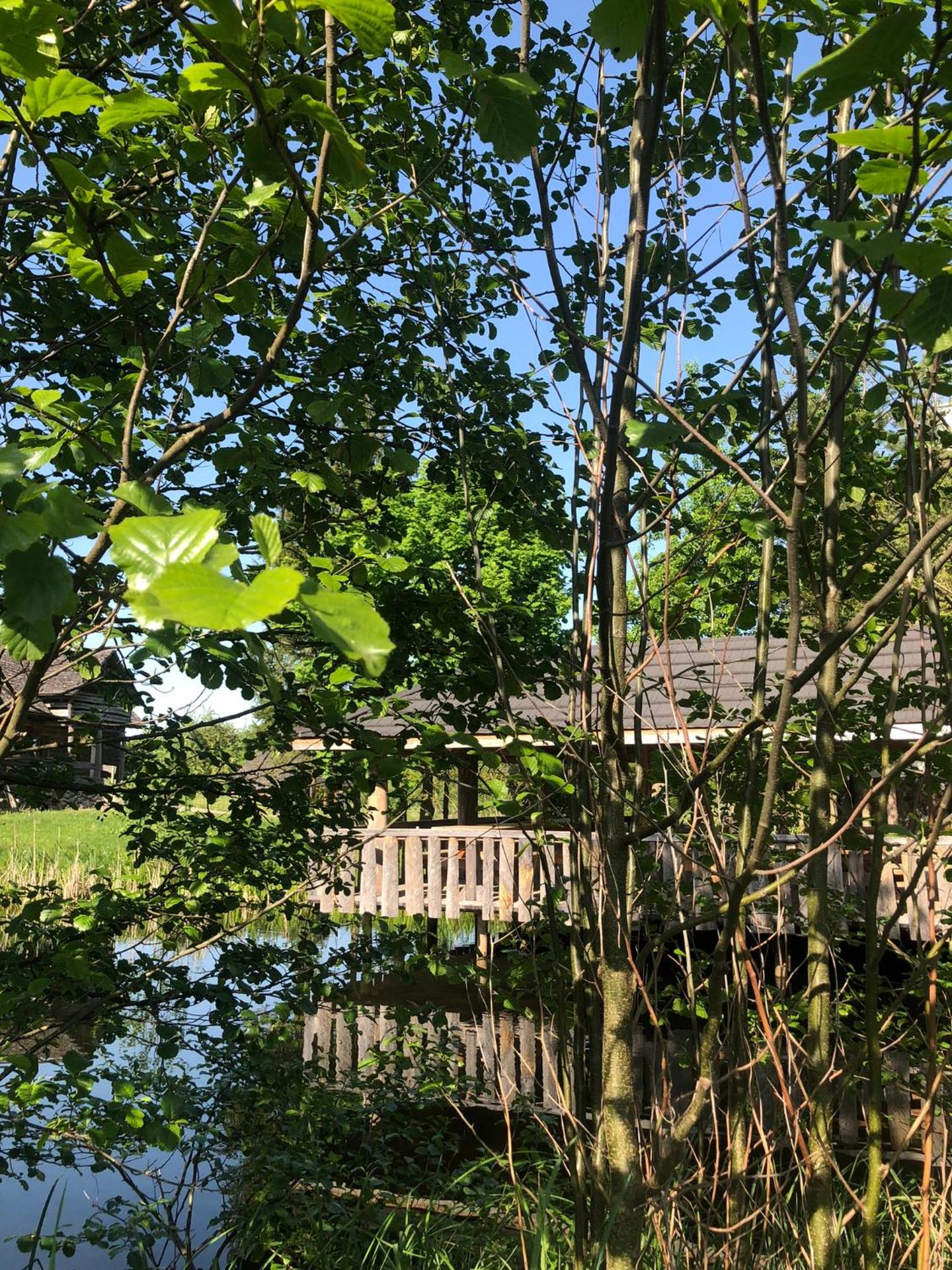 Wiejski Zakątek nad Wigrami