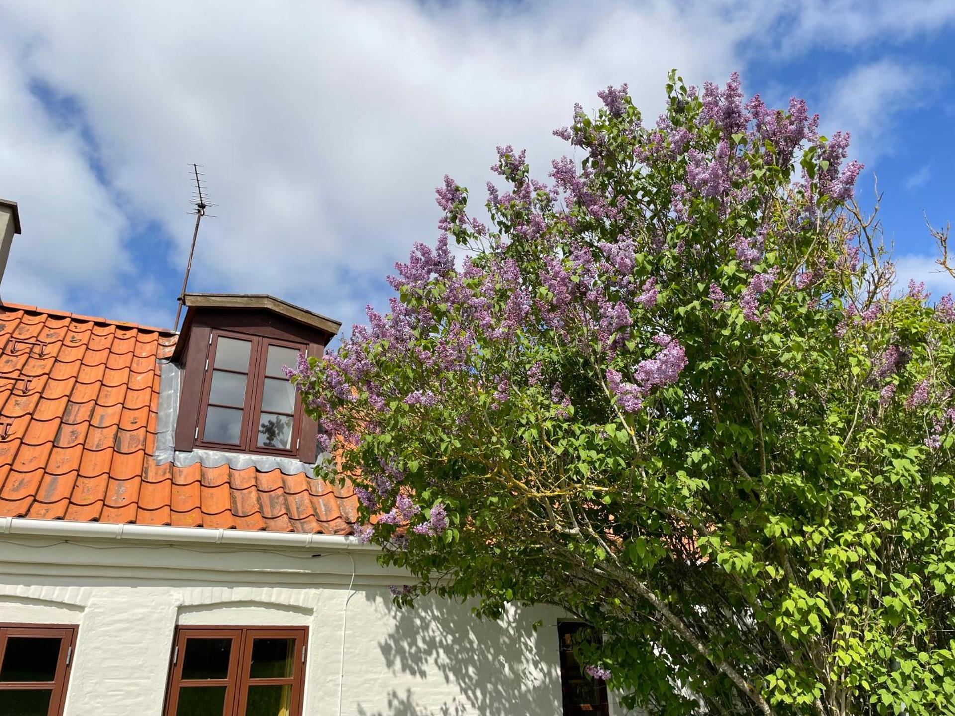 A true nature pearl in idyllic surroundings but close to the city