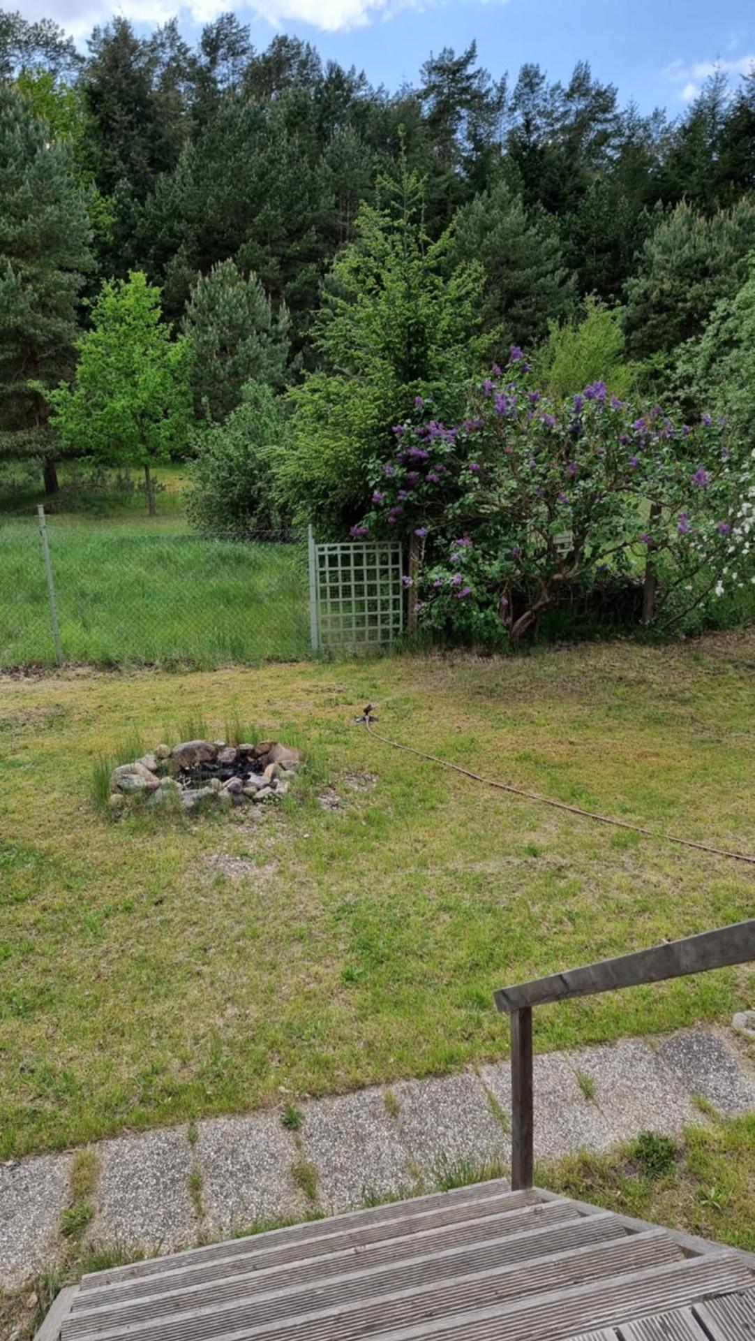 Mecklenburgische Seenplatte - FH mit optionalem Steg und Ruderboot