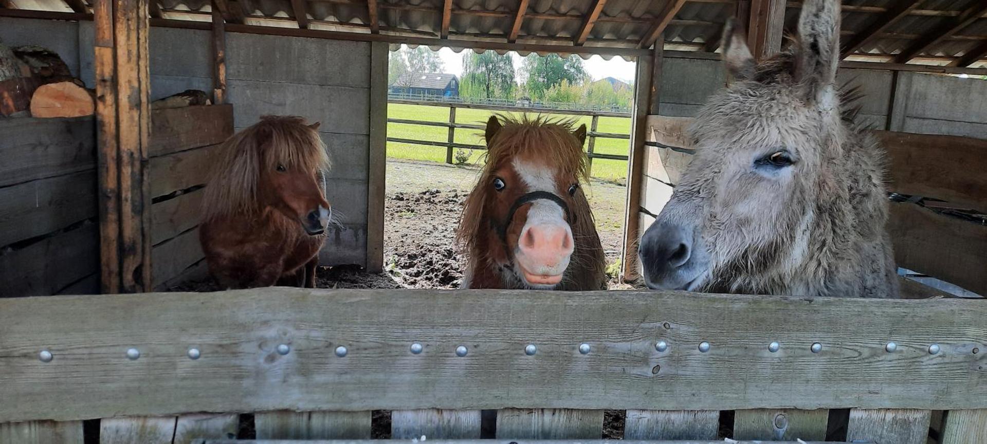 vakantieboerderij Aardenhof