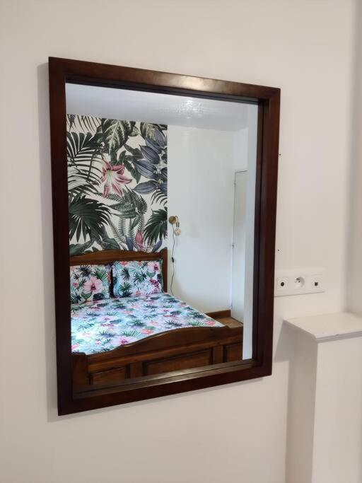 Le TROPICA Appartement 2 chambres, plein Sud centre ville de VITRÉ