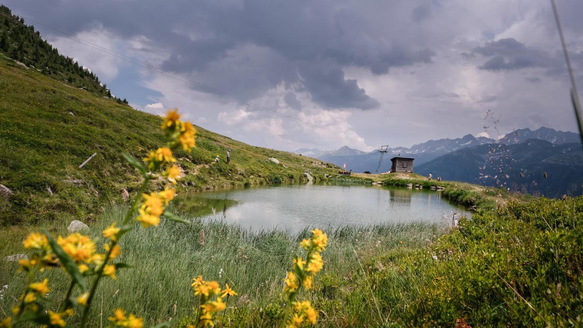 Ferienwohnung Silberdistel