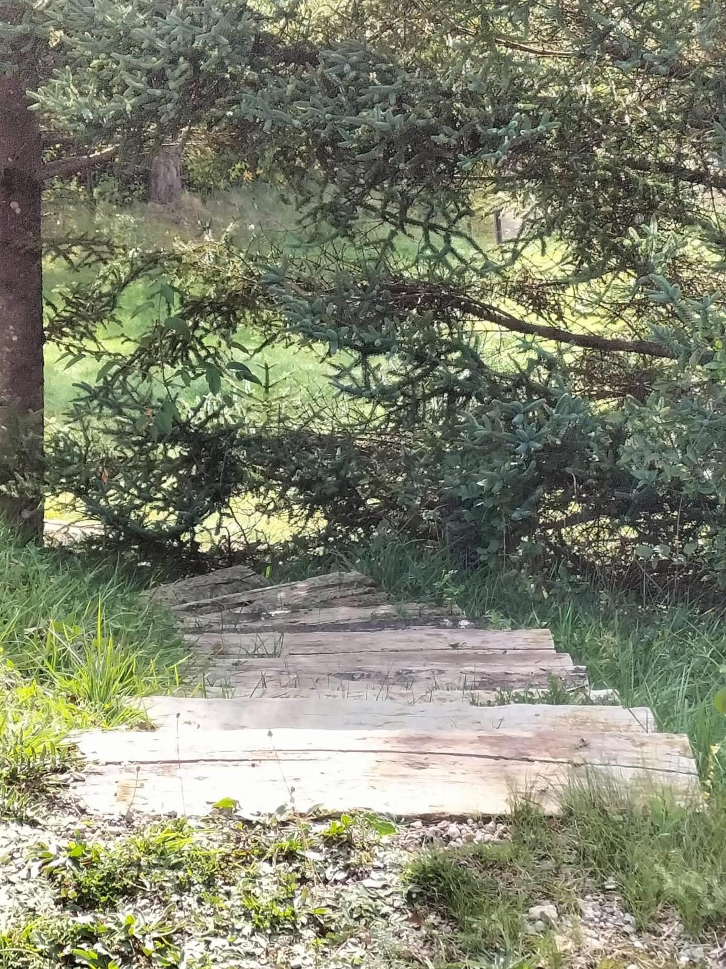 CA L'ANELLA (SALDES)