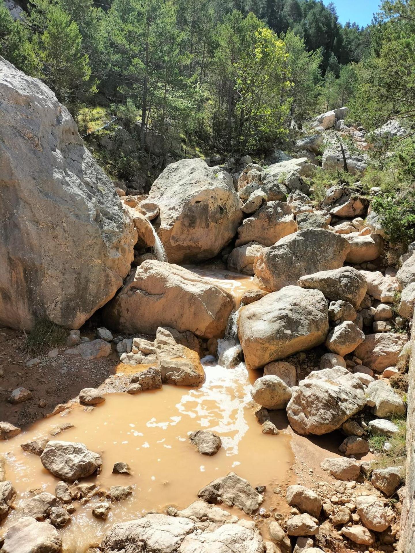 CA L'ANELLA (SALDES)