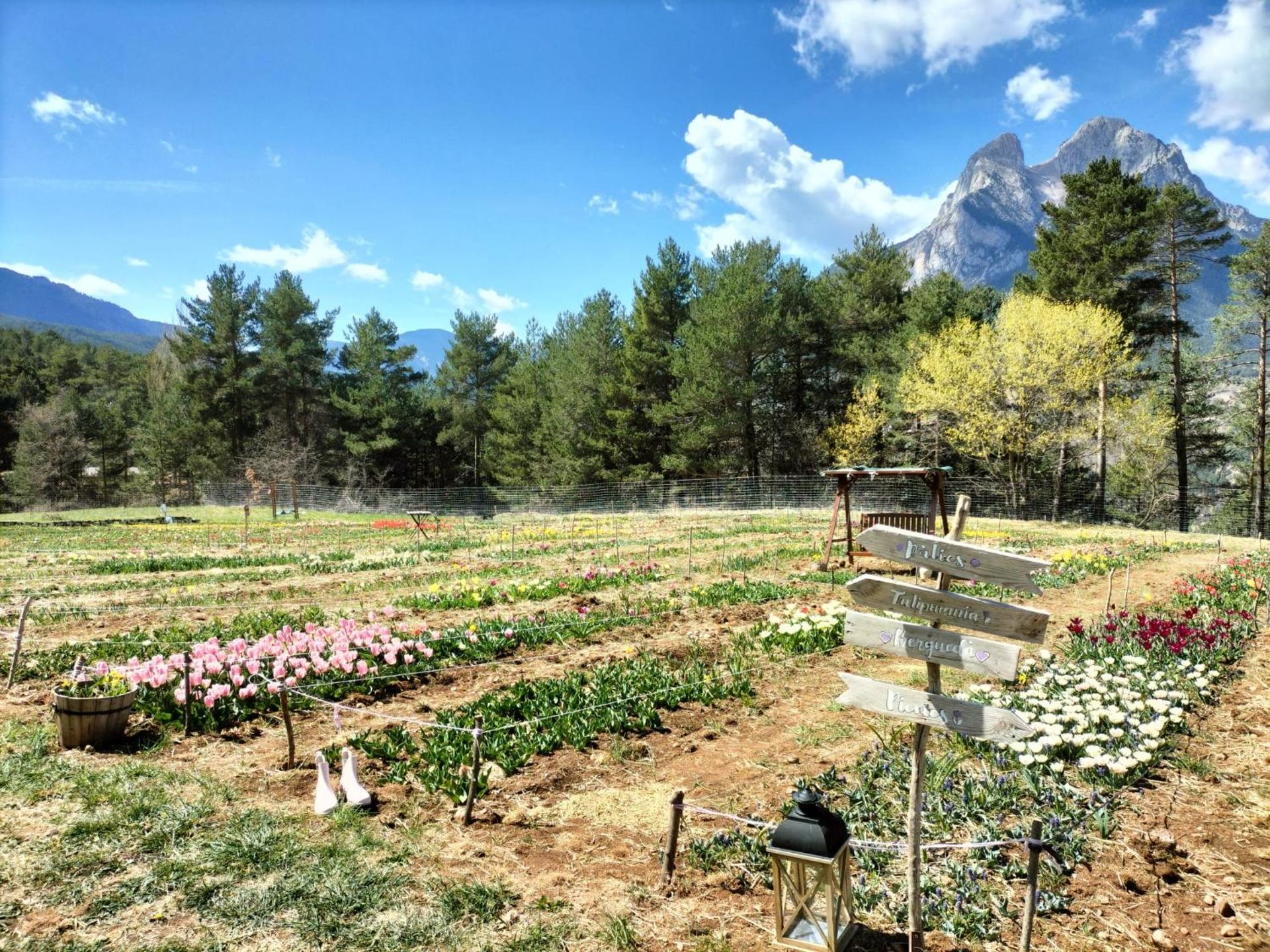 CA L'ANELLA (SALDES)