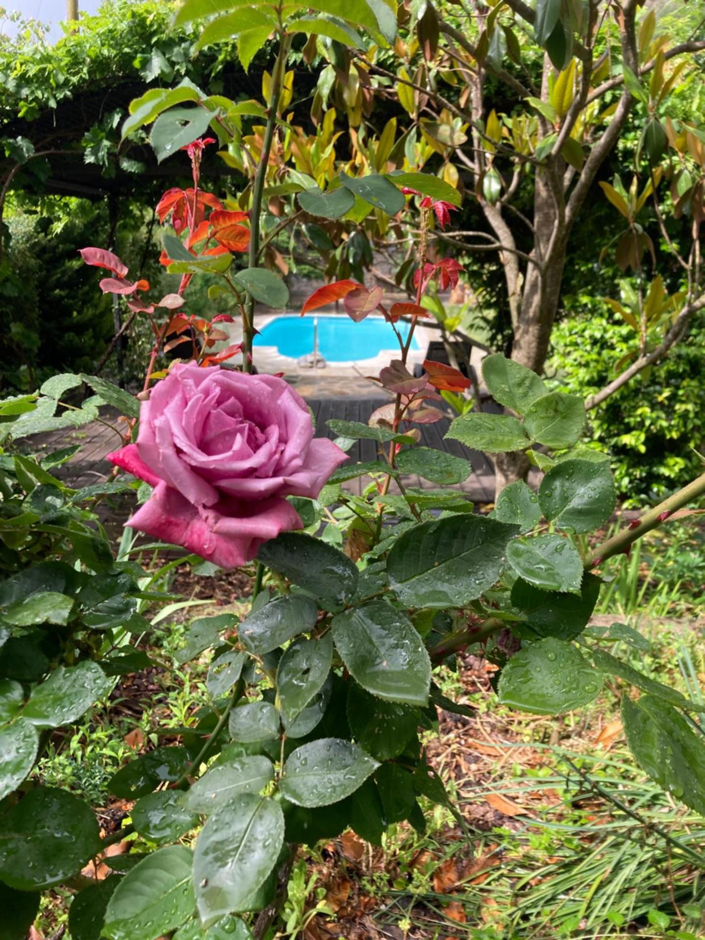 El Cau de Cal Quimet