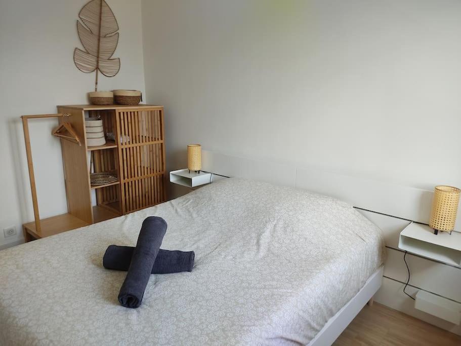 Entre Lac et Montagne