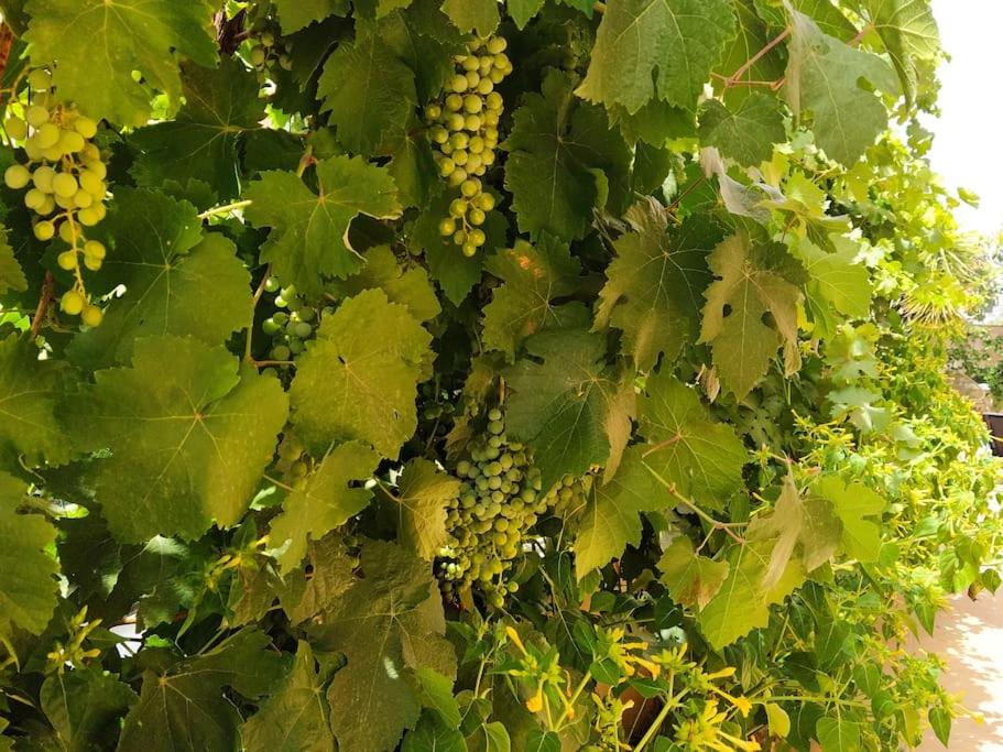 Luminosa y confortable casa con vistas y piscina