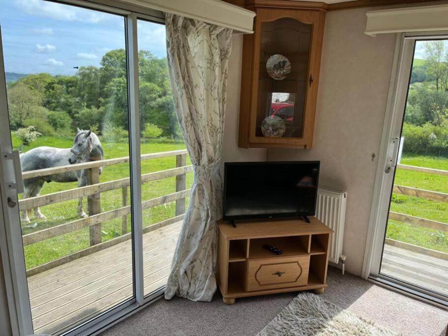 Farm stay caravan on working farm