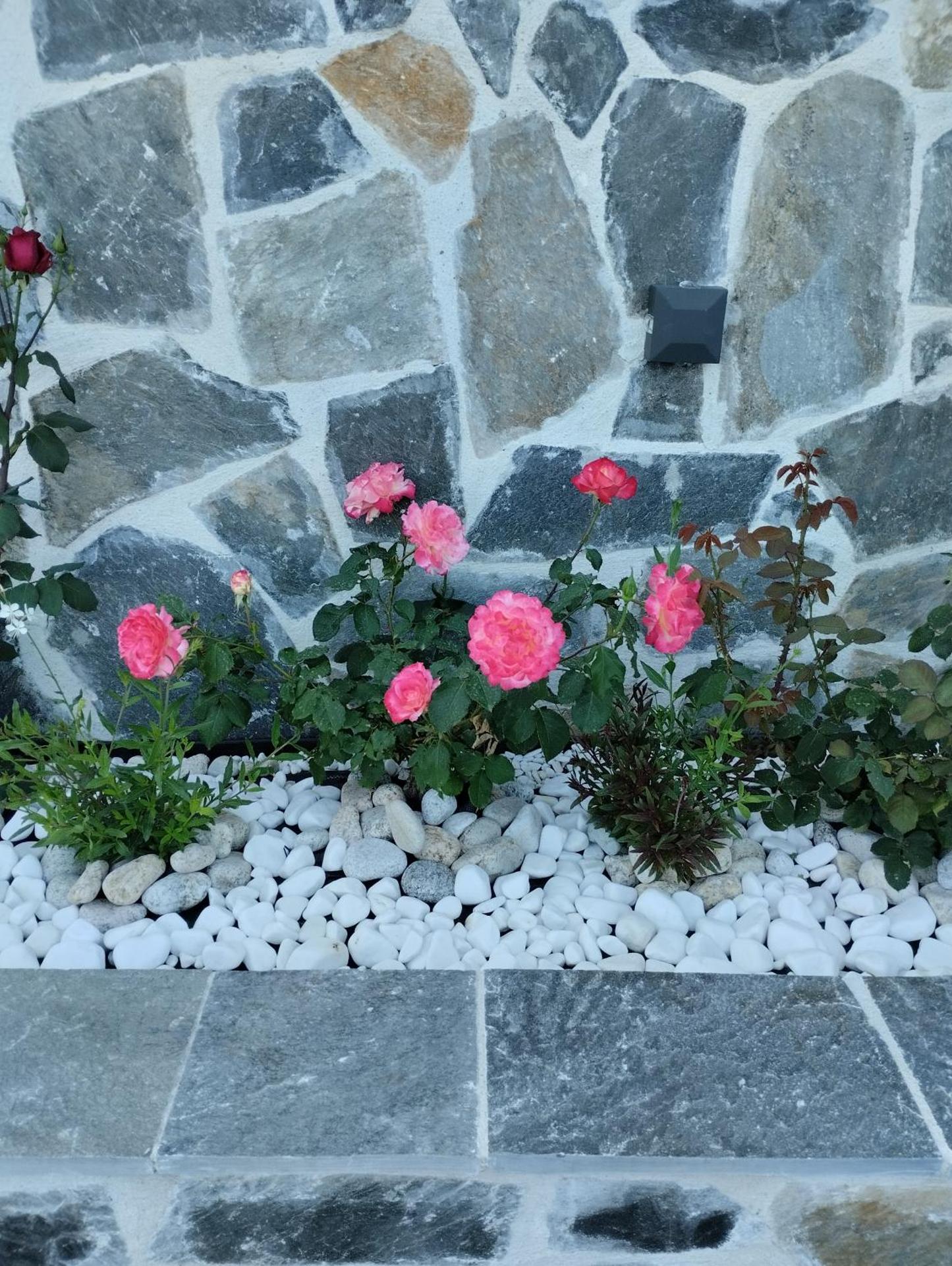 Thanos ,Rooms and Apartments