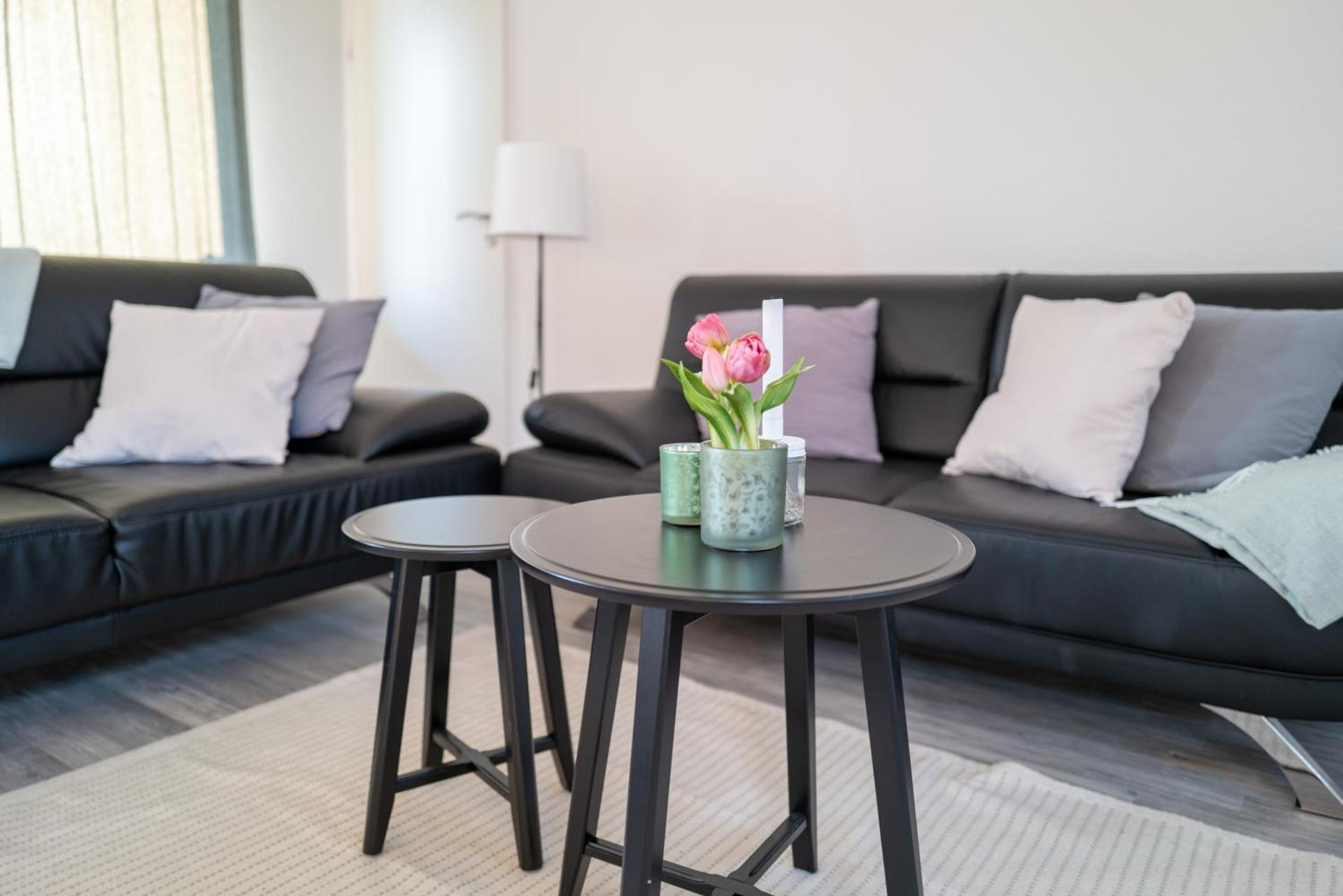 Erholung auf der Deichschäferei mit Deichblick