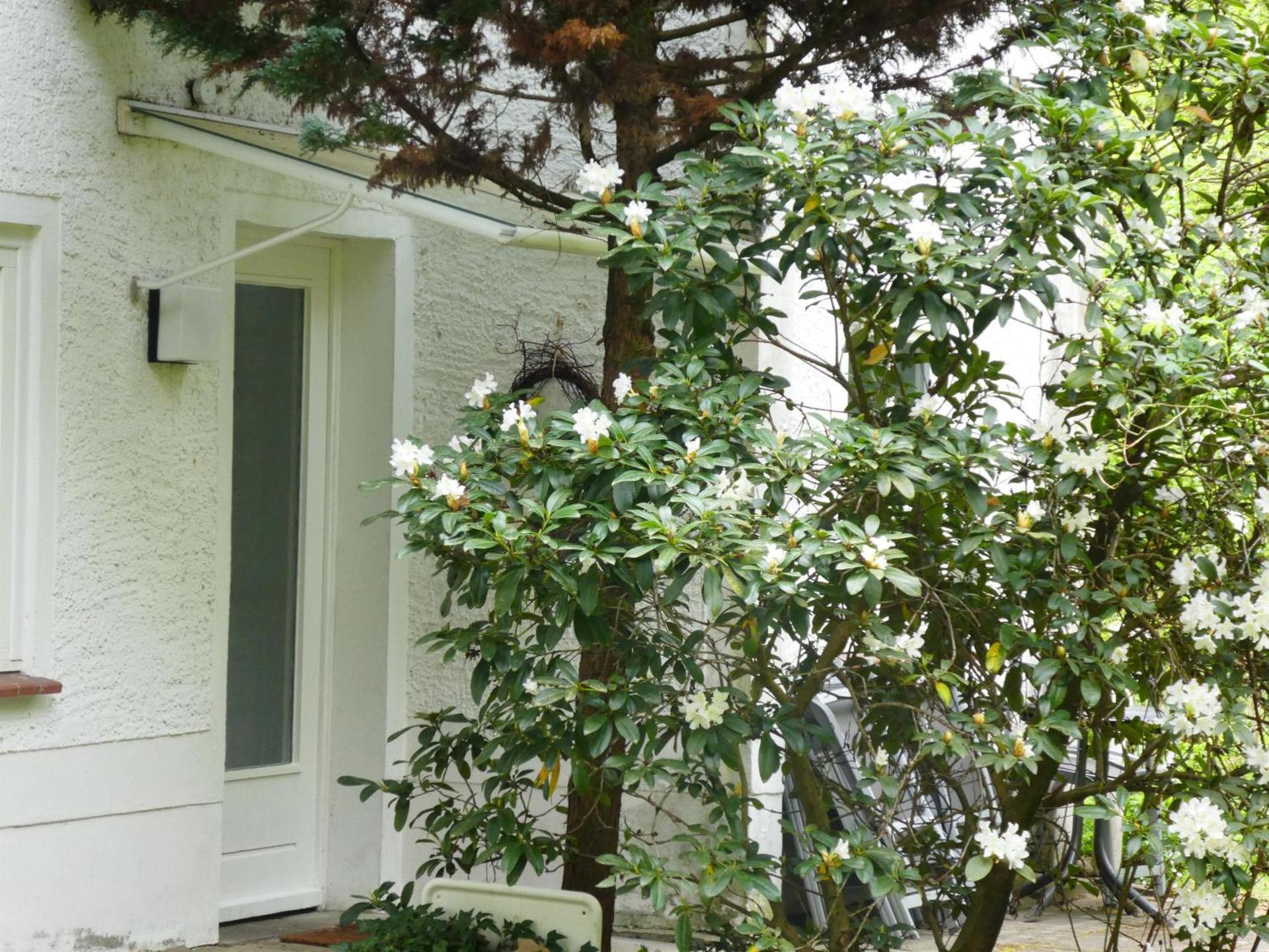 Ferienwohnung Niemann in Lutterloh