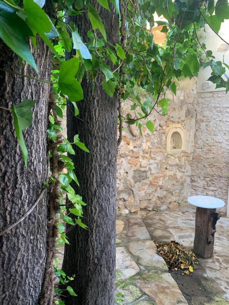 Inner courtyard view