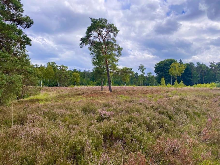 Knus huisje op kindvriendelijk park met zwembad