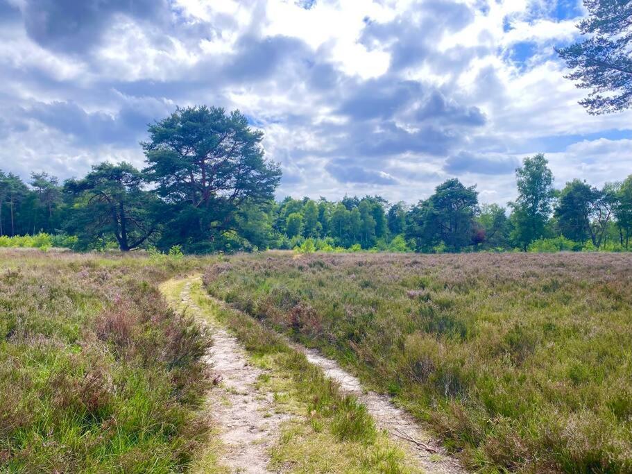 Knus huisje op kindvriendelijk park met zwembad