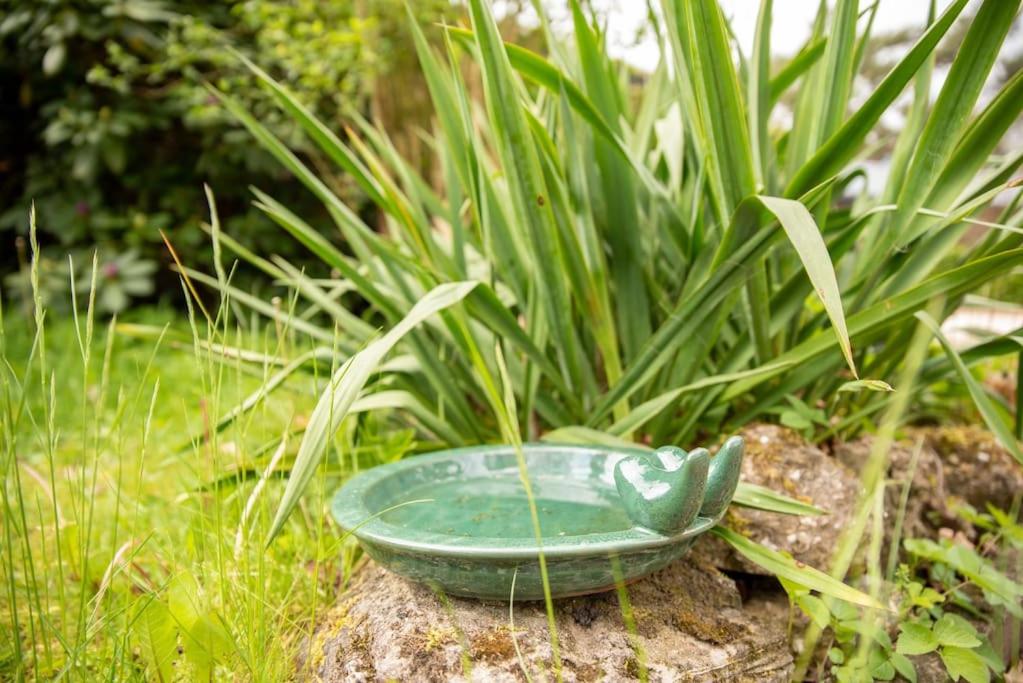 Knus huisje op kindvriendelijk park met zwembad