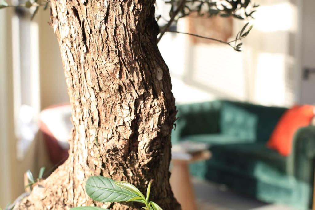 Luxury Harbour Suite With Private Parking