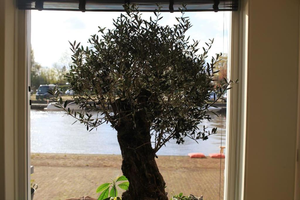 Luxury Harbour Suite With Private Parking