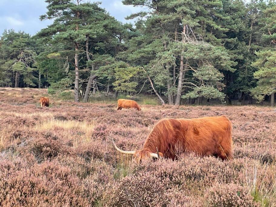 Luxury Harbour Suite With Private Parking