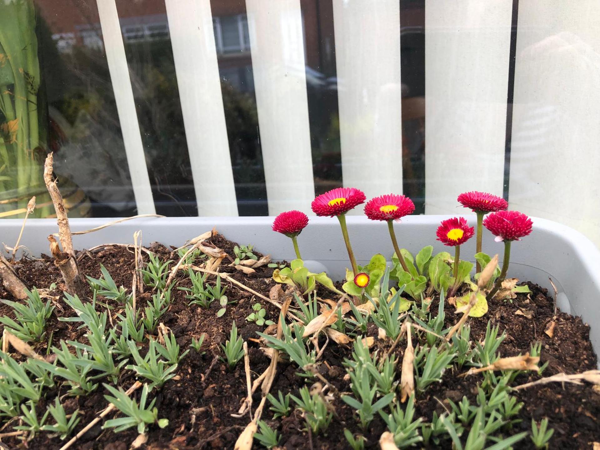 PondeROSEa Cottage Free Gated Parking M1 & City location, wood stove