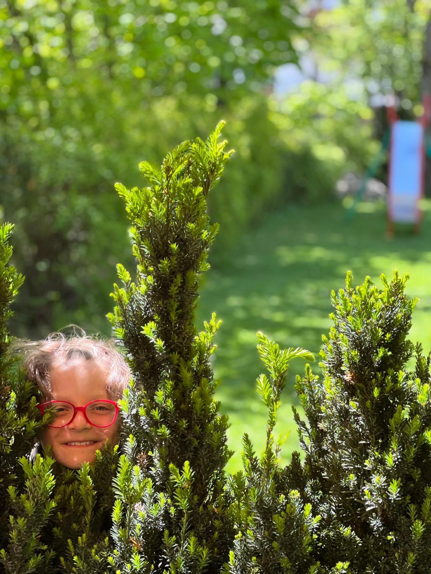 Ameiserhof Guesthouse