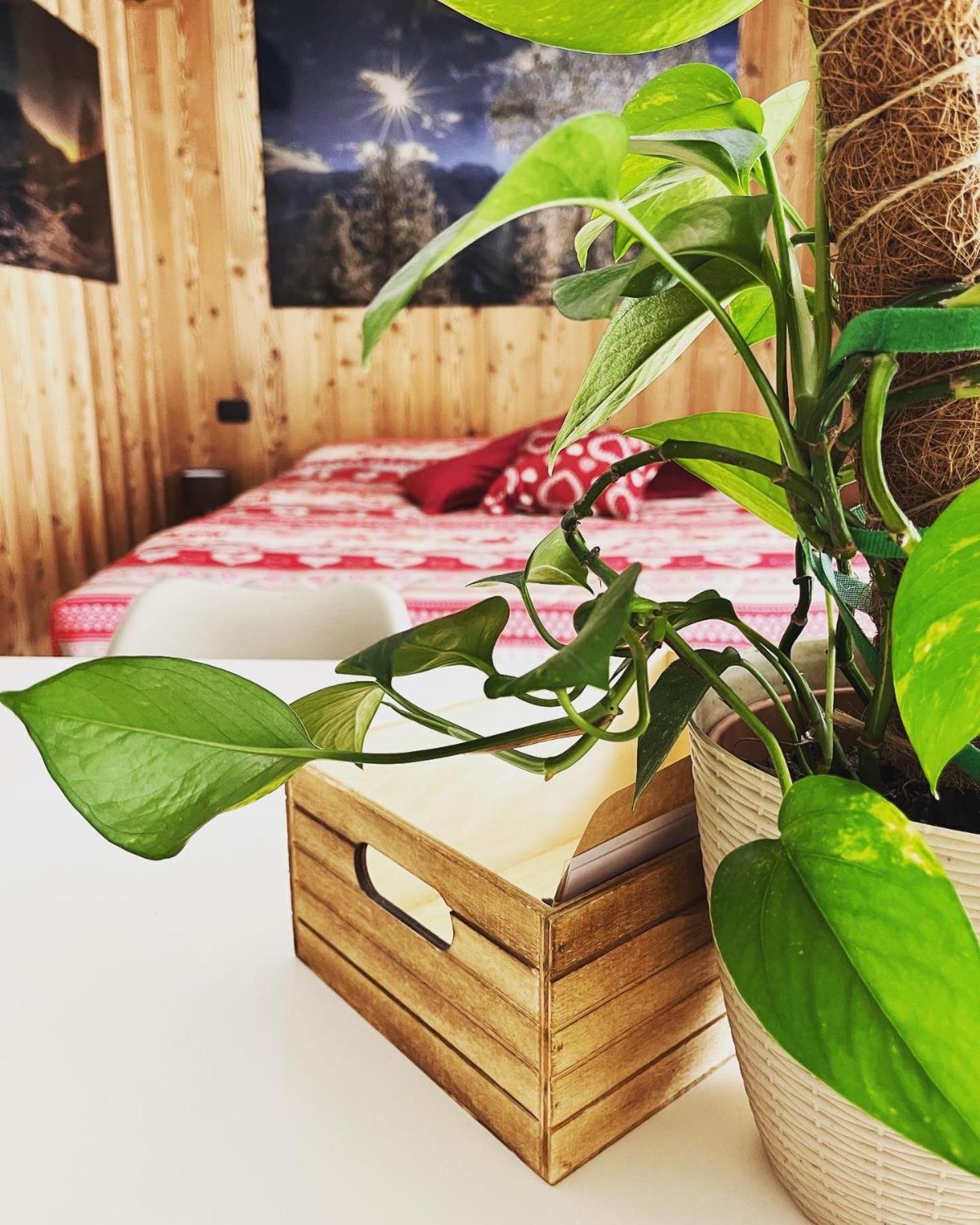 Residenze Vezza - La Corteccia-