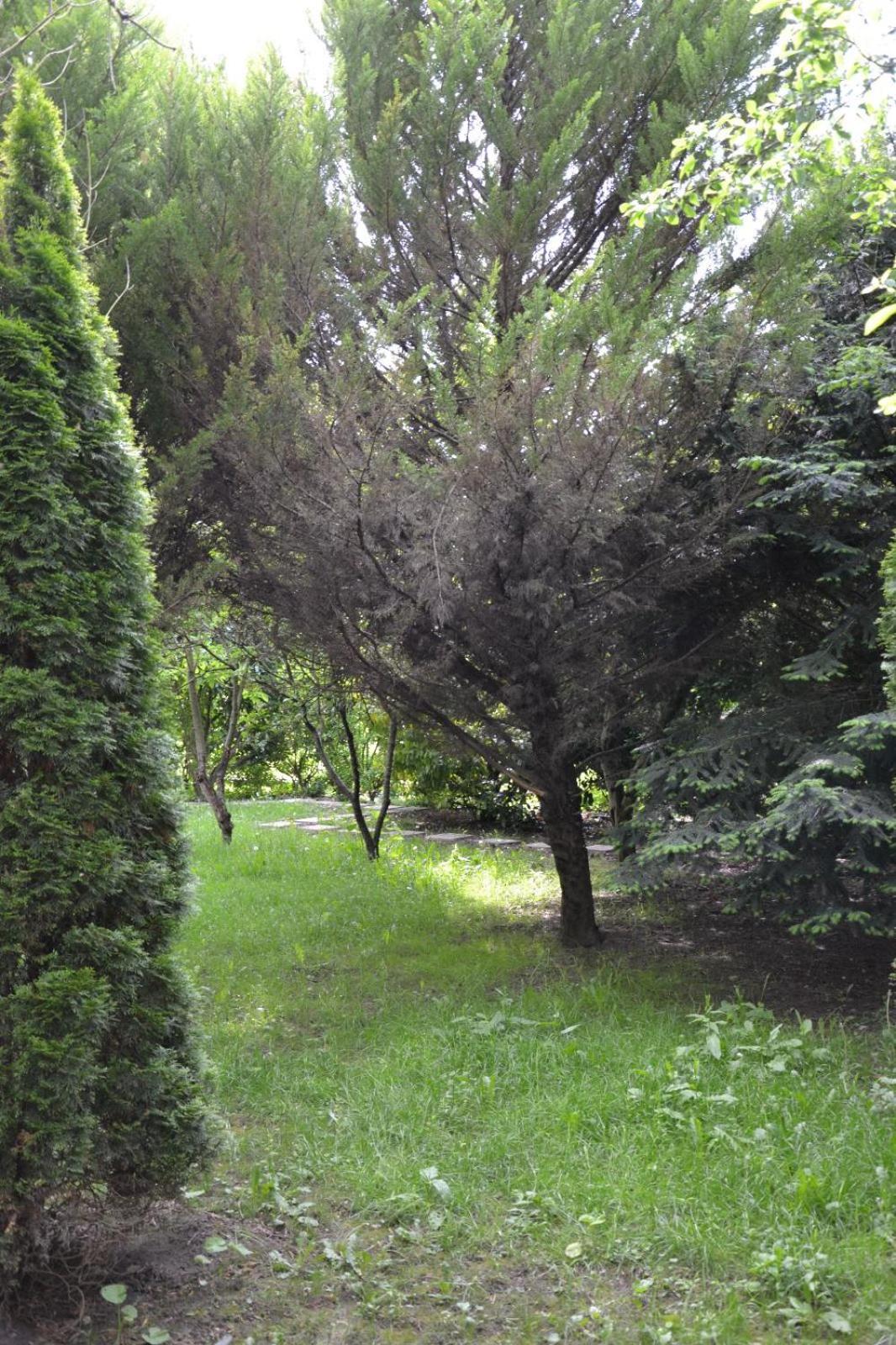 Maison 9 km Disneyland 30 min Paris