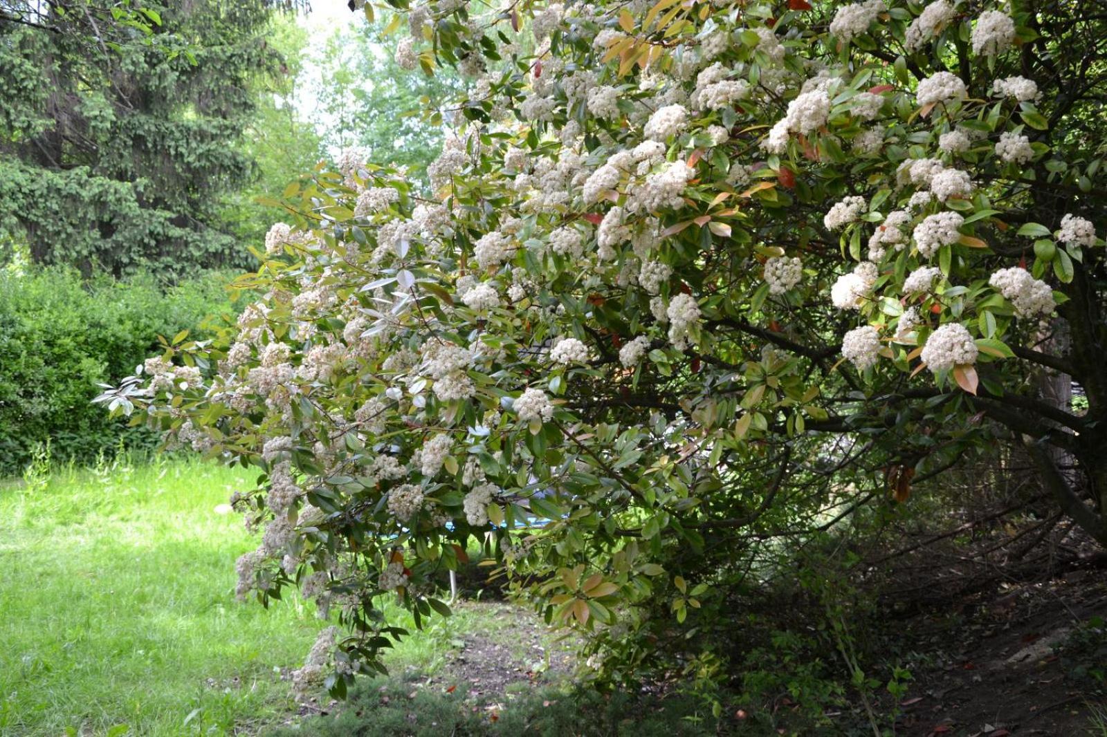 Maison 9 km Disneyland 30 min Paris