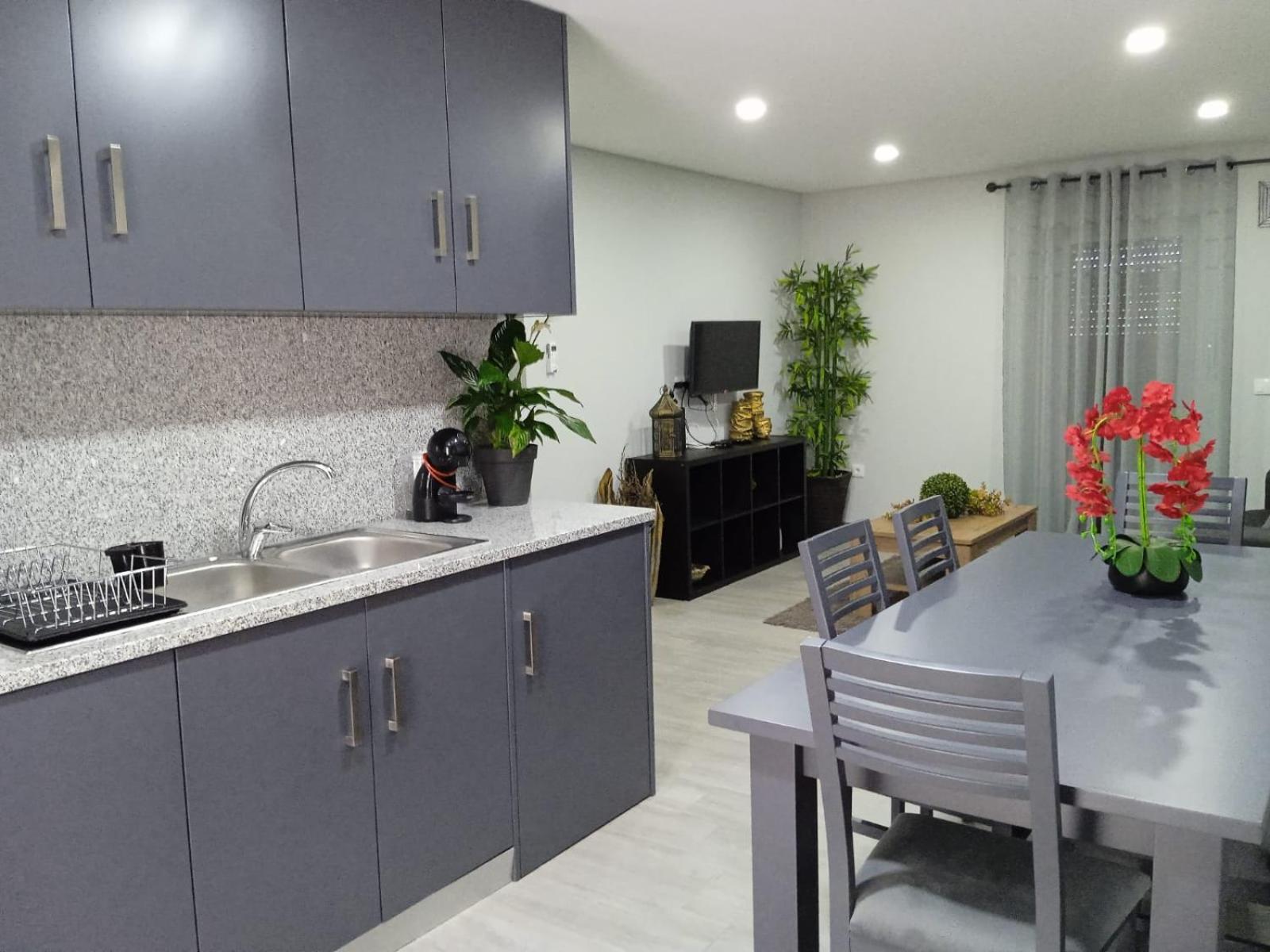 Kitchen or kitchenette