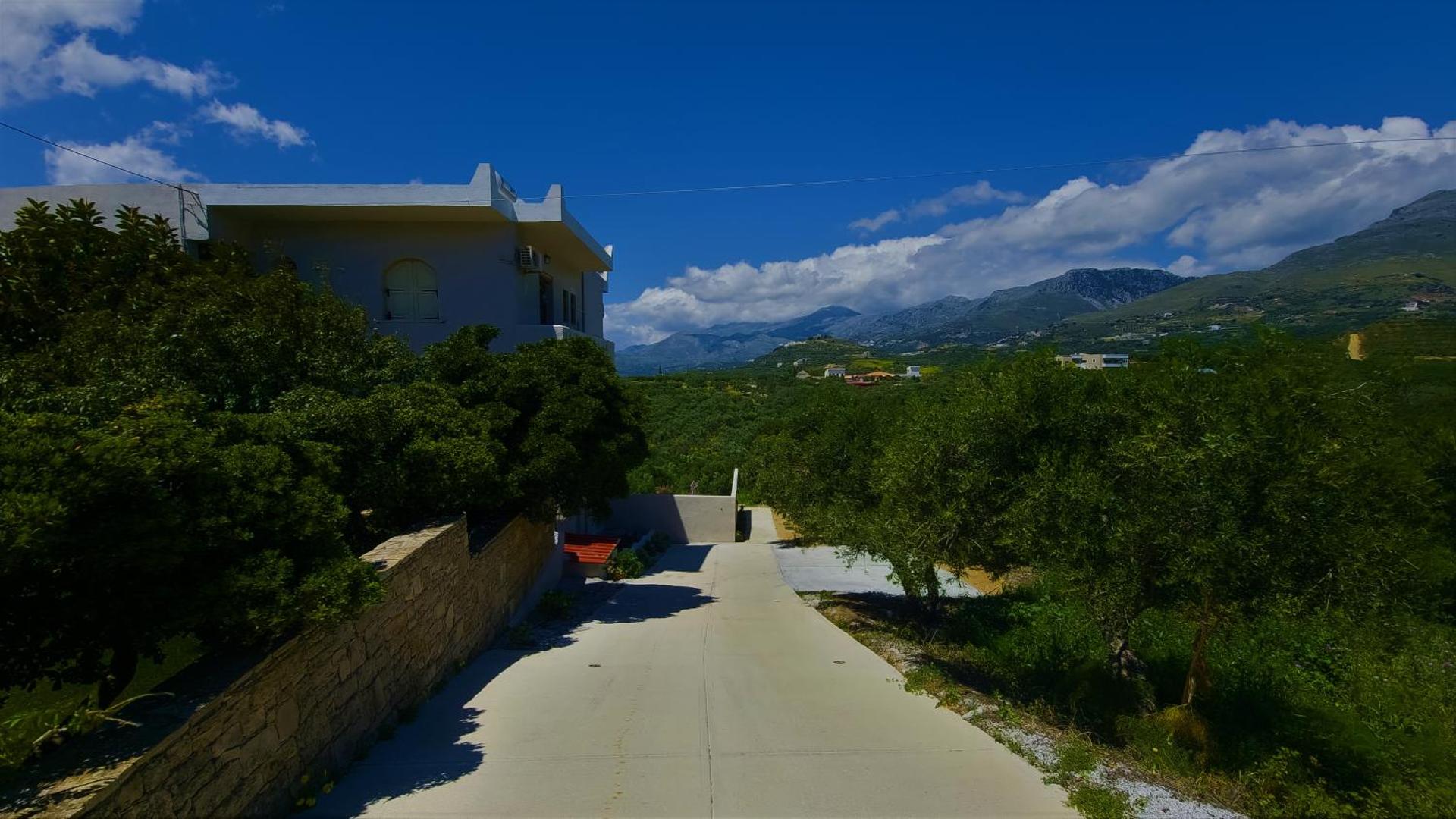 Gratelia Studio Damnoni