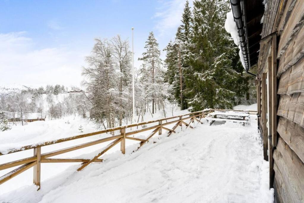 Koselig hytte med sjel på fjellet :)