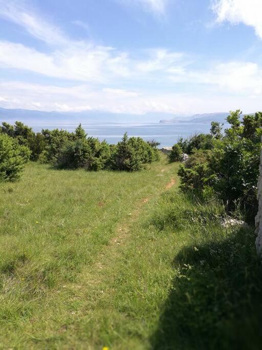 Rare find! Dogs Welcome Secluded Comfy House Krk