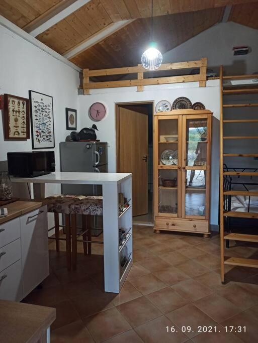 Rare find! Dogs Welcome Secluded Comfy House Krk