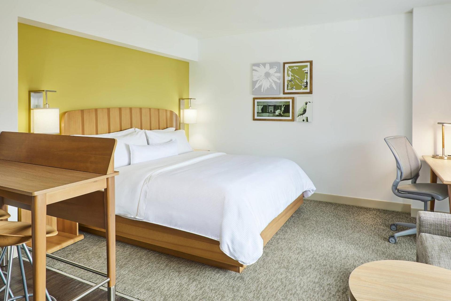 Photo of the whole room